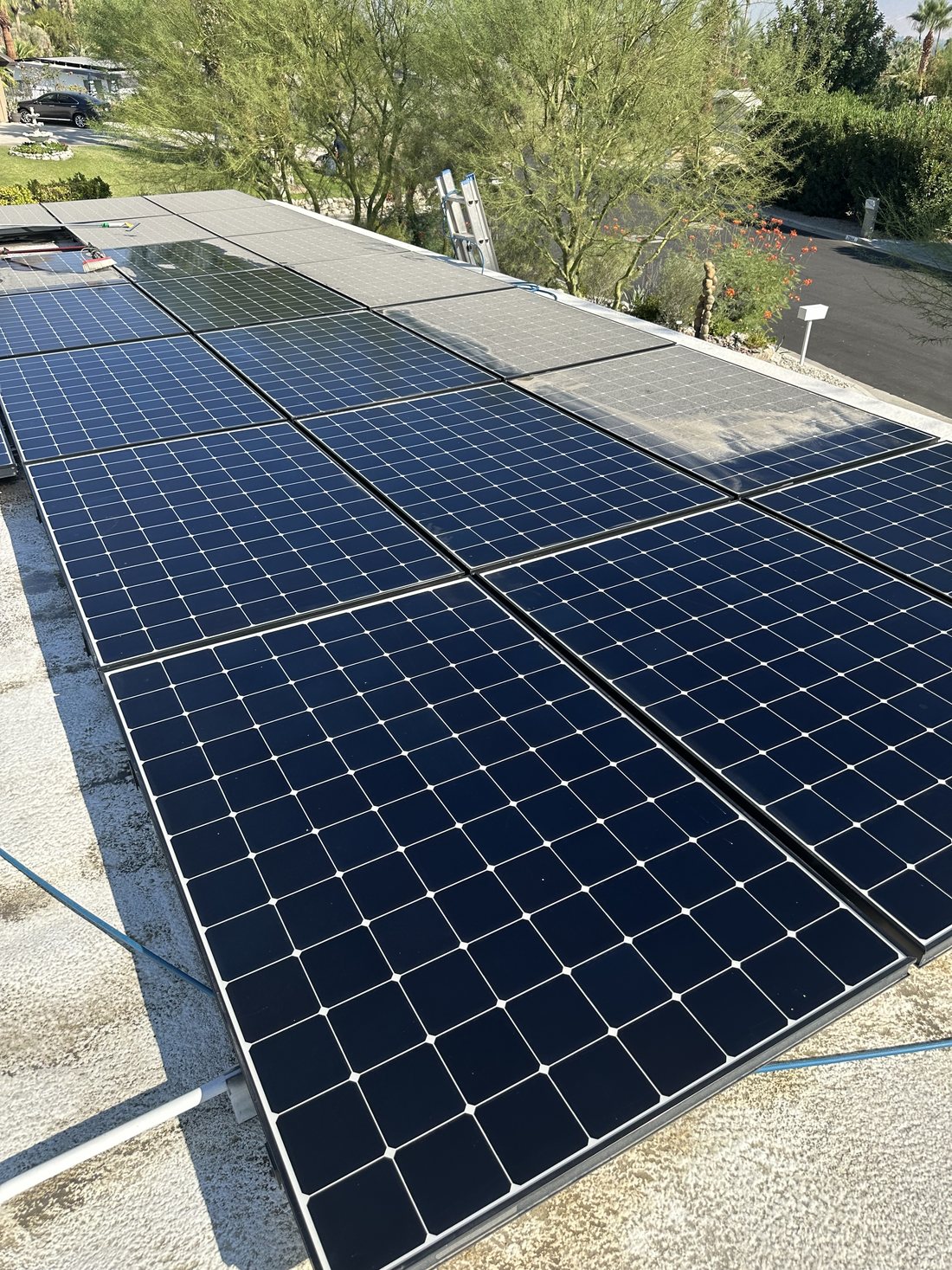 Solar panels mid-cleaning — front rows spotless, back rows still dusty