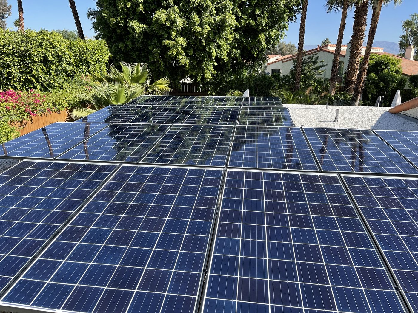 Clean, glossy solar panels reflecting the sky and trees after cleaning